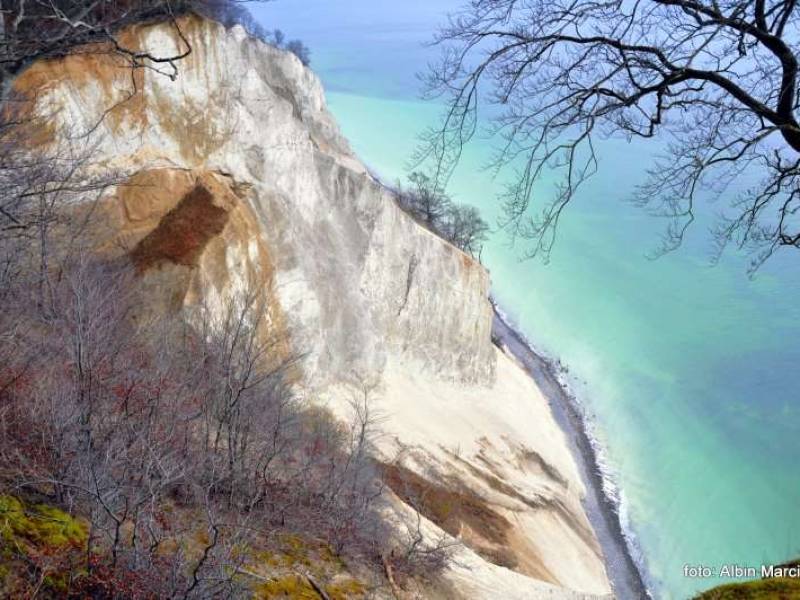 Møns Klint ogromny klif na wschodnim wybrzeżu duńskiej wyspy Møn